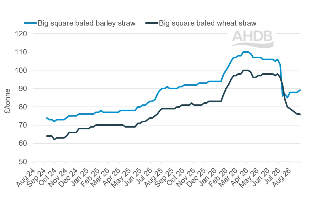 A line graph showing GB big bale straw weekly prices 6 September 2026.